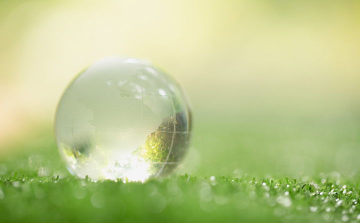 water droplet on grass